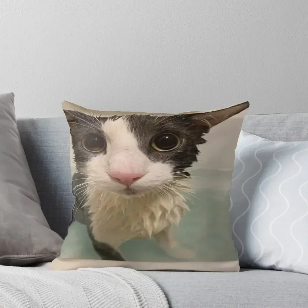 Soggy Cat Throw Pillow Luxury Living Room Decorative Cushions christmas decorations for home 2025 Cushions For Sofa pillow
Soggy Cat Throw Pillow Luxury Living Room Decorative Cushions christmas decorations for home 2025 Cushions For Sofa pillow