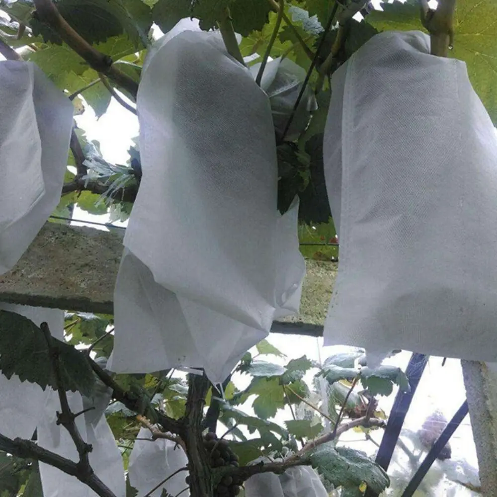 50 шт., карманные защитные сумки для фруктов, садовые тепличные принадлежности, нетканые сумки для защиты от птиц, детские сумки для растений
50 шт., карманные защитные сумки для фруктов, садовые тепличные принадлежности, нетканые сумки для защиты от птиц, детские сумки для растений