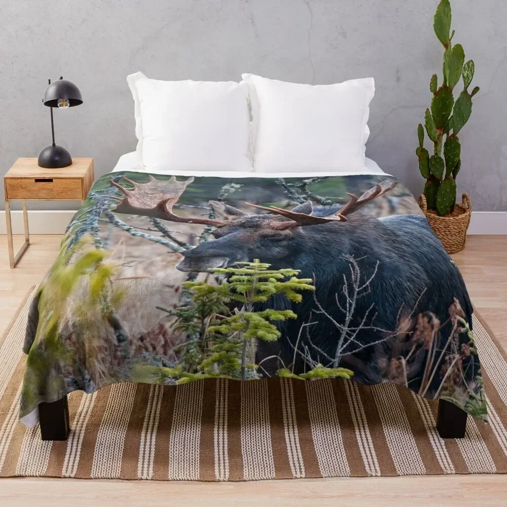 Bull Moose Throw Blanket Faux Fur Soft Warm Blanket for Bed
Bull Moose Throw Blanket Faux Fur Soft Warm Blanket for Bed