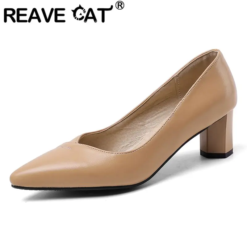 REAVE CAT Новые классические женские туфли-лодочки с острым носком на массивном каблуке 5,5 см, слипоны, большой размер 44 45 46 47 48 Мягкая офисная женская повседневная обувь
REAVE CAT Новые классические женские туфли-лодочки с острым носком на массивном каблуке 5,5 см, слипоны, большой размер 44 45 46 47 48 Мягкая офисная женская повседневная обувь