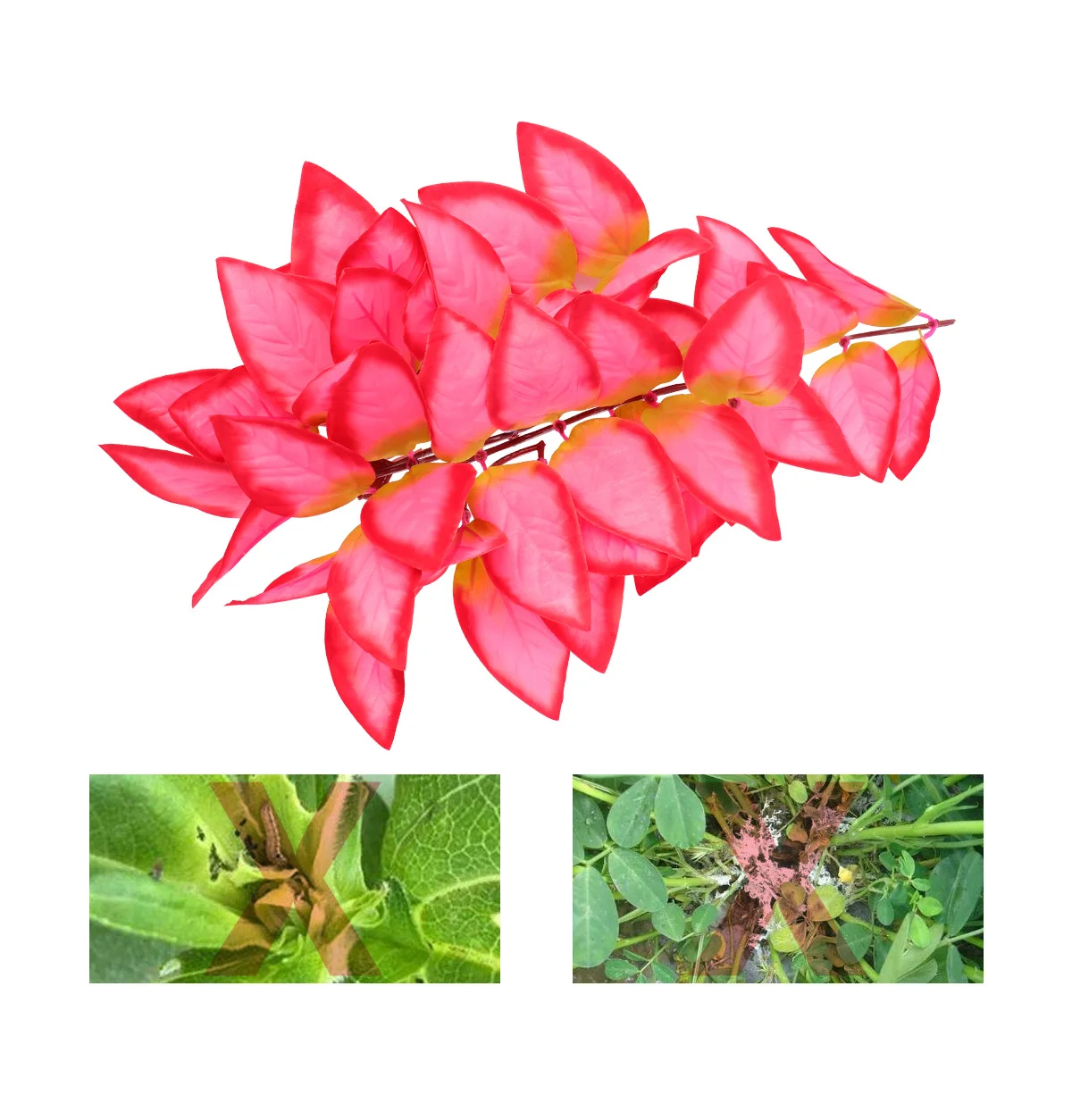 Artificial Water Plants Vines 30cm Colorful Leaf Grain Fish Tank Aquarium Underwater Decor Plastic Leaf Fake Vine
Artificial Water Plants Vines 30cm Colorful Leaf Grain Fish Tank Aquarium Underwater Decor Plastic Leaf Fake Vine