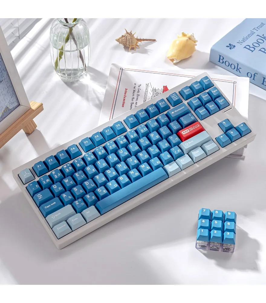 Blue keycap PBT sublimation customized original Wooting/Ace68 magnetic axis mechanical keyboard
Blue keycap PBT sublimation customized original Wooting/Ace68 magnetic axis mechanical keyboard