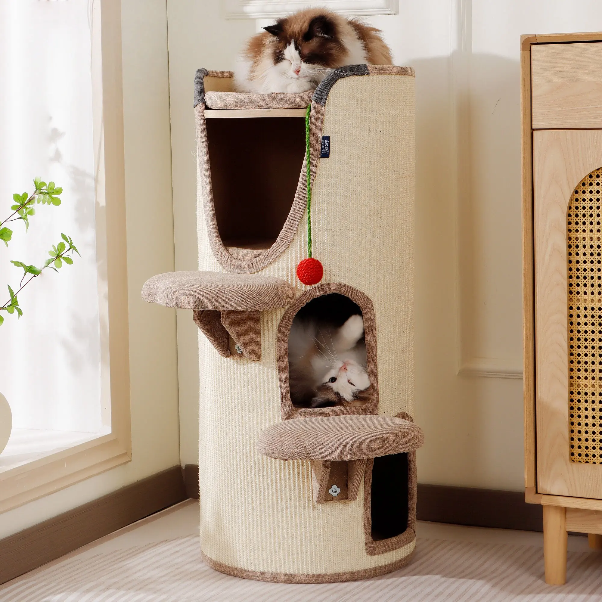 Luxury Scrapers Cat Tower Supplies Accessories House Cat Tower Things Sandbox Indoor Large Rope Rascador De Gatos Cat Supplies
Luxury Scrapers Cat Tower Supplies Accessories House Cat Tower Things Sandbox Indoor Large Rope Rascador De Gatos Cat Supplies