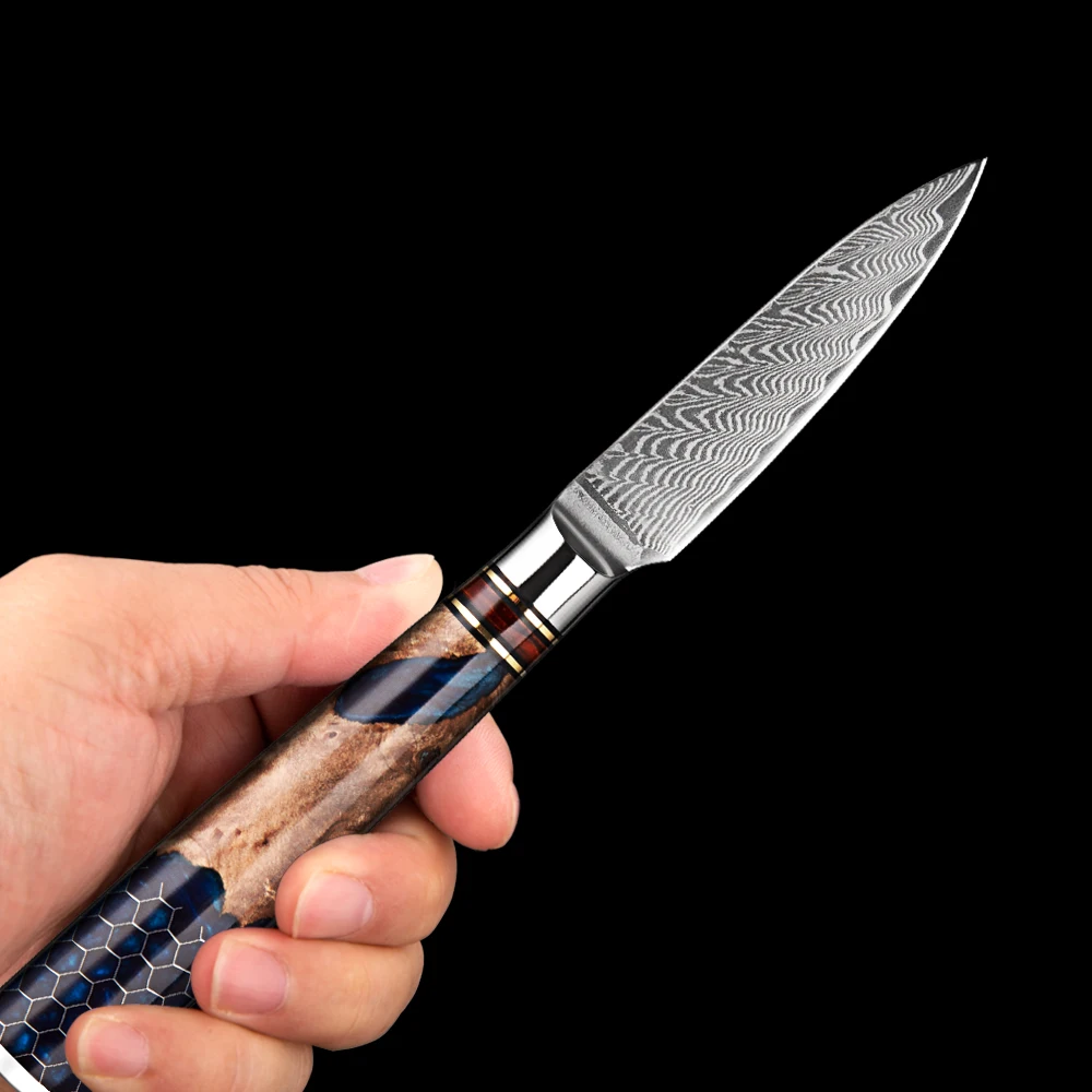 Professional 3.5 Inch Paring Knife 67-layer Damascus Steel Kitchen Peeling Knife Fruit Knife Honeycomb Blue Resin Handle
Professional 3.5 Inch Paring Knife 67-layer Damascus Steel Kitchen Peeling Knife Fruit Knife Honeycomb Blue Resin Handle
