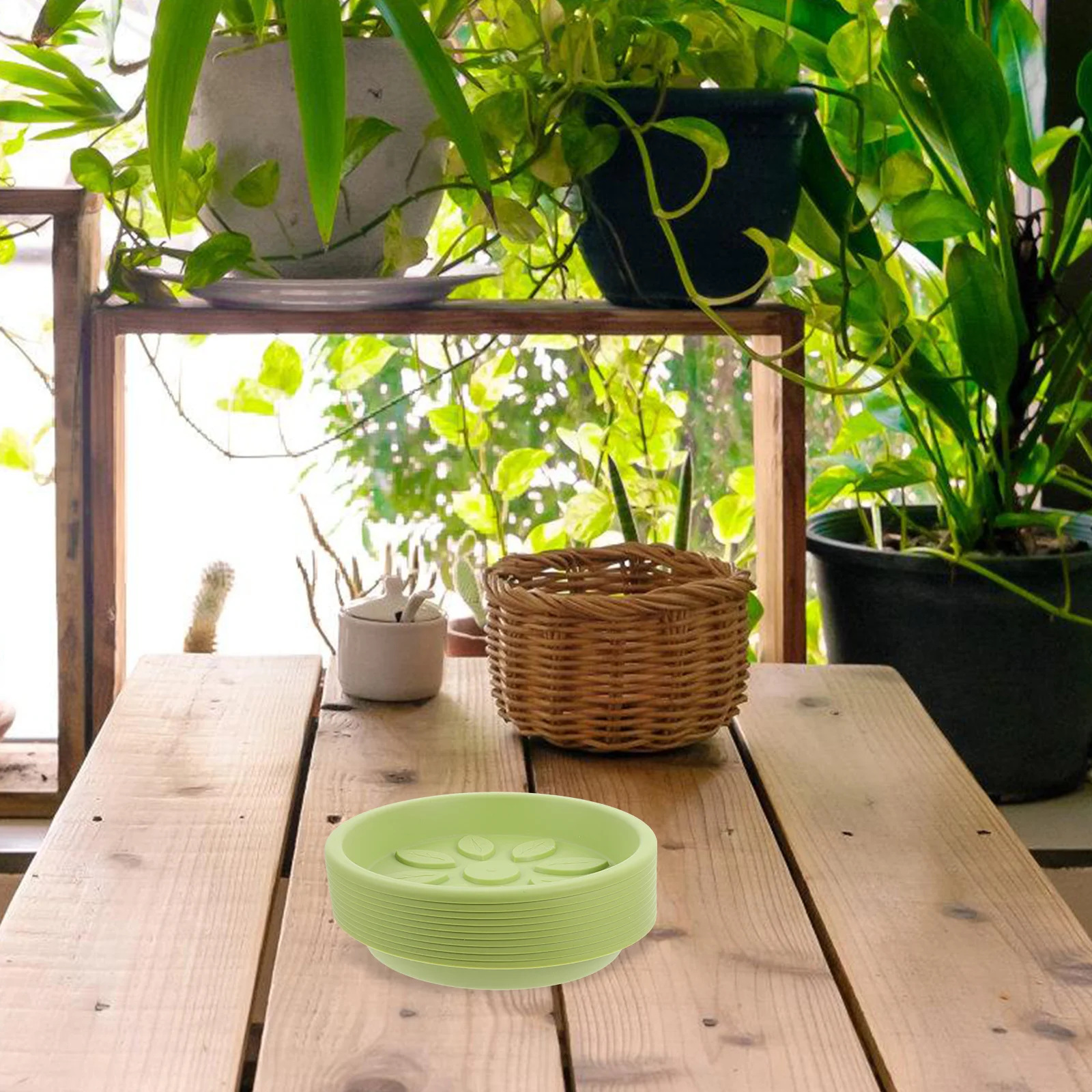 10 Flower Trays Round Garden Trays For Plants Plastic Plant Saucers Water Overflow Prevention Durable PP Garden Cleanliness
10 Flower Trays Round Garden Trays For Plants Plastic Plant Saucers Water Overflow Prevention Durable PP Garden Cleanliness