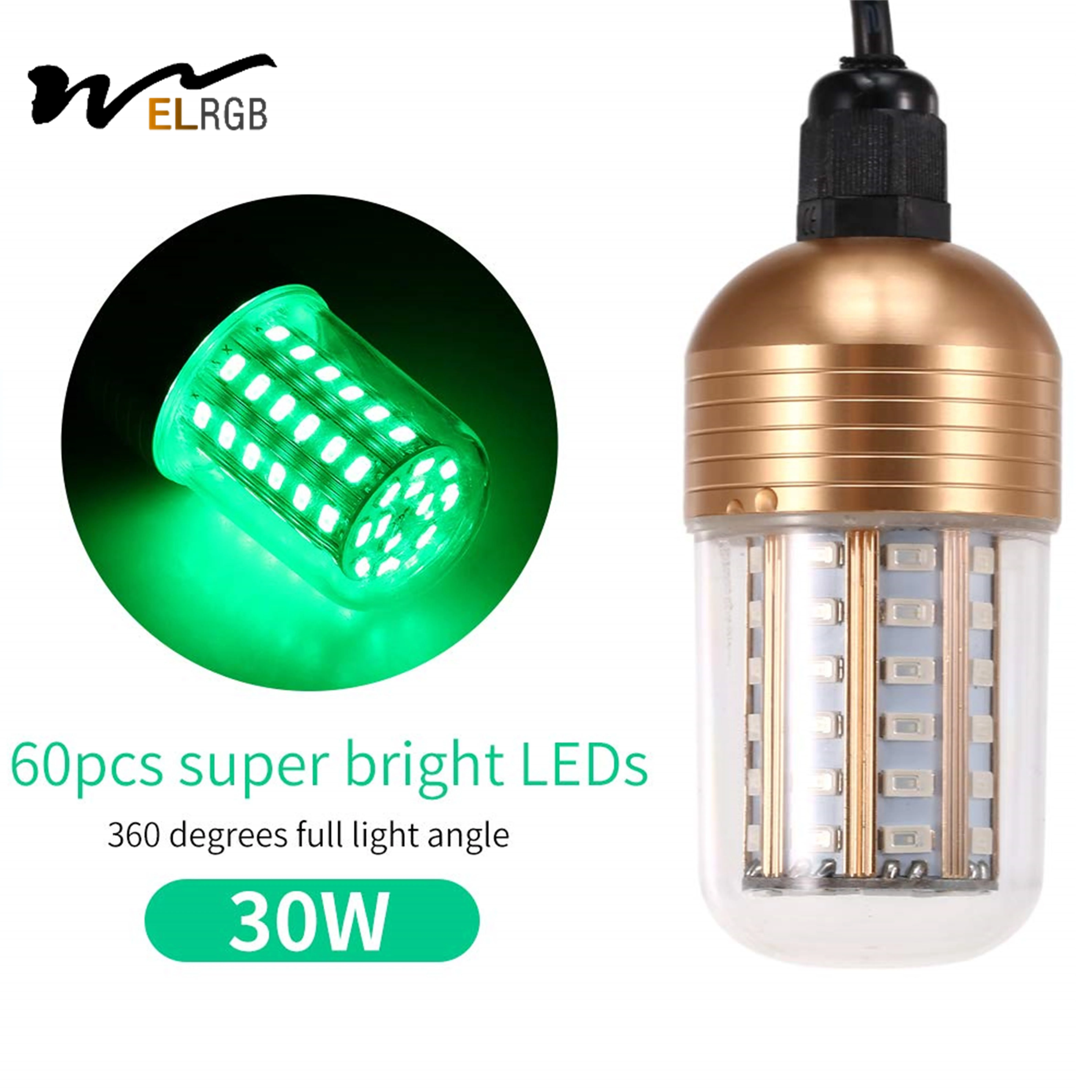 12V 30W IP68 Waterproof LED Night Fishing Light Green And Blue Emitted Underwater Finder Lamp
12V 30W IP68 Waterproof LED Night Fishing Light Green And Blue Emitted Underwater Finder Lamp