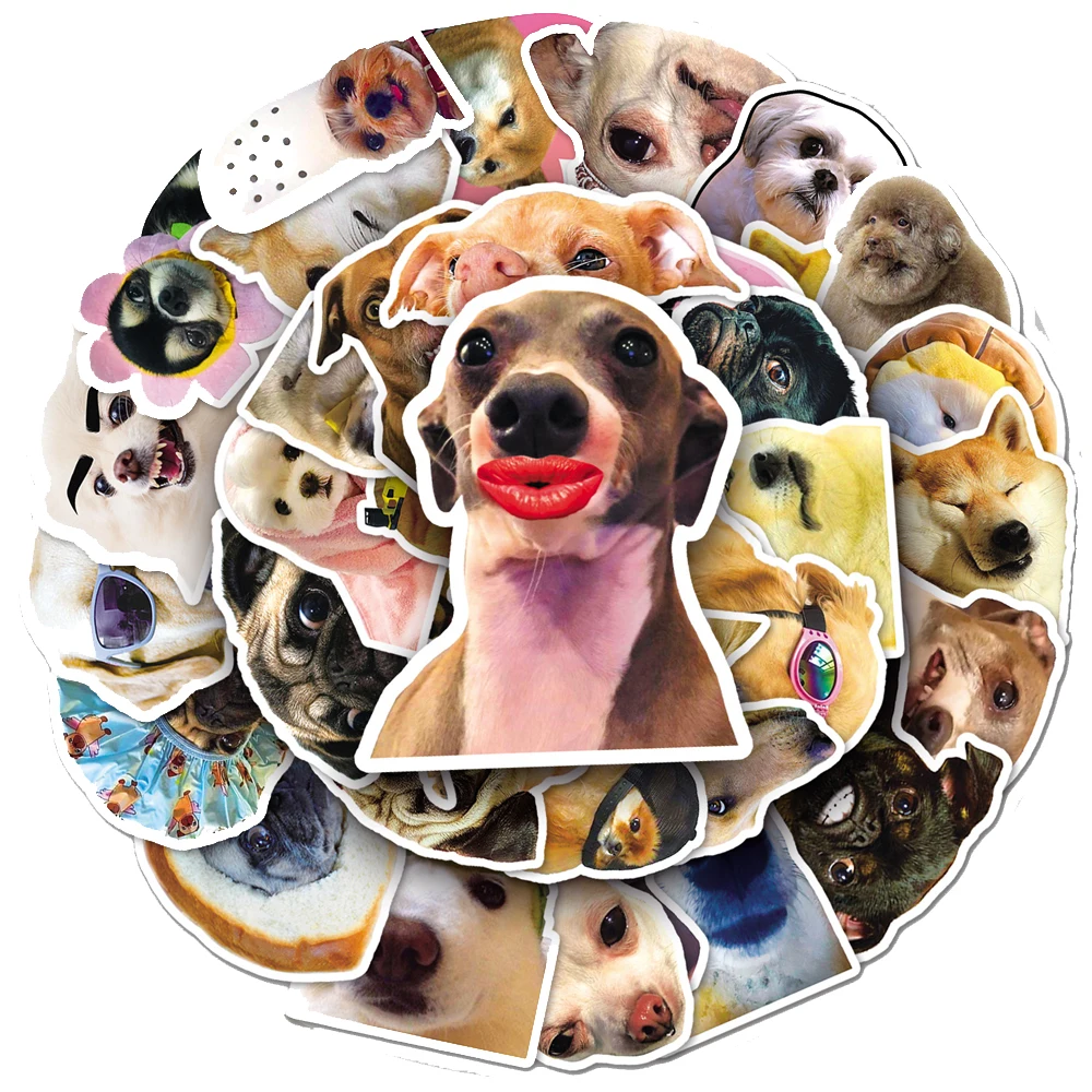 10/30/50 шт. Kawaii Dog MEME забавные наклейки с животными милые мультяшные наклейки детские игрушки ноутбук Тетрадь телефон чемодан граффити наклейка
10/30/50 шт. Kawaii Dog MEME забавные наклейки с животными милые мультяшные наклейки детские игрушки ноутбук Тетрадь телефон чемодан граффити наклейка