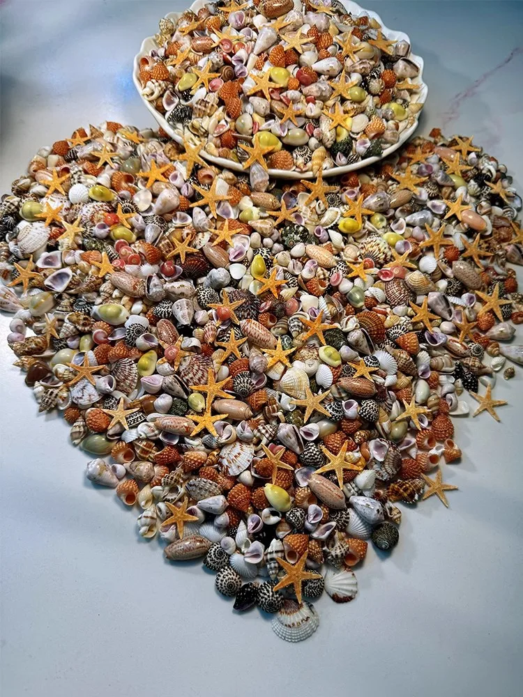 Wholesale Natural Shell Conch Ornaments Accessories Parts DIY Material Jewelry Components Sea Shell Home Decoration Supplies
Wholesale Natural Shell Conch Ornaments Accessories Parts DIY Material Jewelry Components Sea Shell Home Decoration Supplies