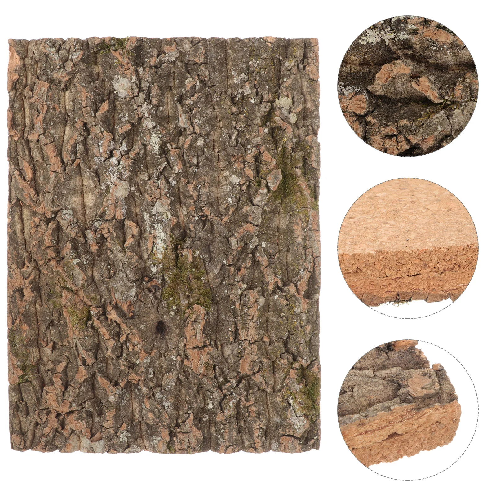 Reptile Accessories Habitat Decors Terrarium Turtle Reptivite Fish Shelter Reptiles Cork Bark Tank Decorations
Reptile Accessories Habitat Decors Terrarium Turtle Reptivite Fish Shelter Reptiles Cork Bark Tank Decorations