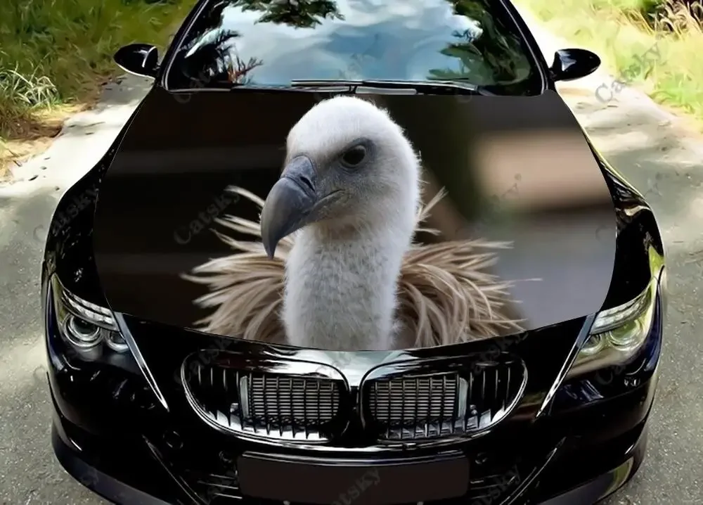 Griffon Vulture Animal Car Hood Vinyl Stickers Wrap Vinyl Film Engine Cover Decals Sticker Universal Car Hood Cover Film
Griffon Vulture Animal Car Hood Vinyl Stickers Wrap Vinyl Film Engine Cover Decals Sticker Universal Car Hood Cover Film