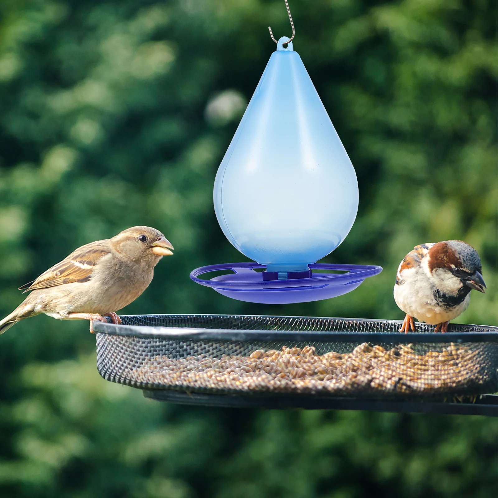 Plastic Hanging Hummingbird Feeder Outdoor Bird Feeding Container Weather Resistant Lightweight Birds Food Holder for Garden
Plastic Hanging Hummingbird Feeder Outdoor Bird Feeding Container Weather Resistant Lightweight Birds Food Holder for Garden