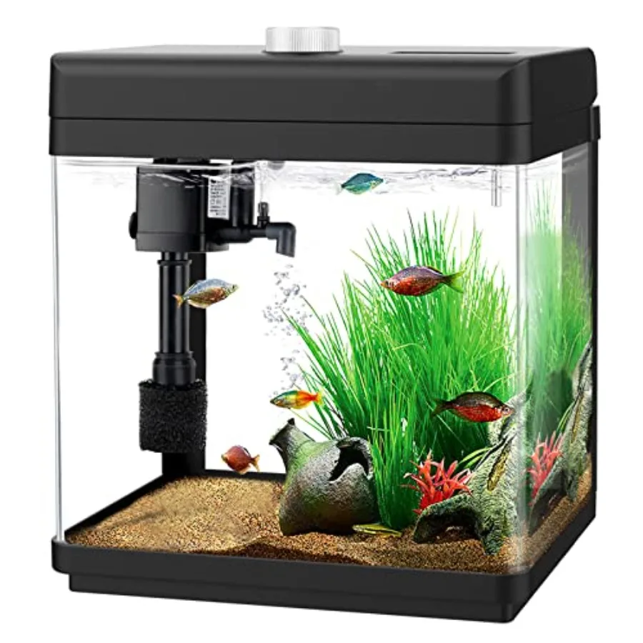 1.5 Gallon Aquarium Kits Desktop Small Fish Tank with Filter and Light 8 Colors Adjustable Freshwater and Saltwater Betta Fish
1.5 Gallon Aquarium Kits Desktop Small Fish Tank with Filter and Light 8 Colors Adjustable Freshwater and Saltwater Betta Fish