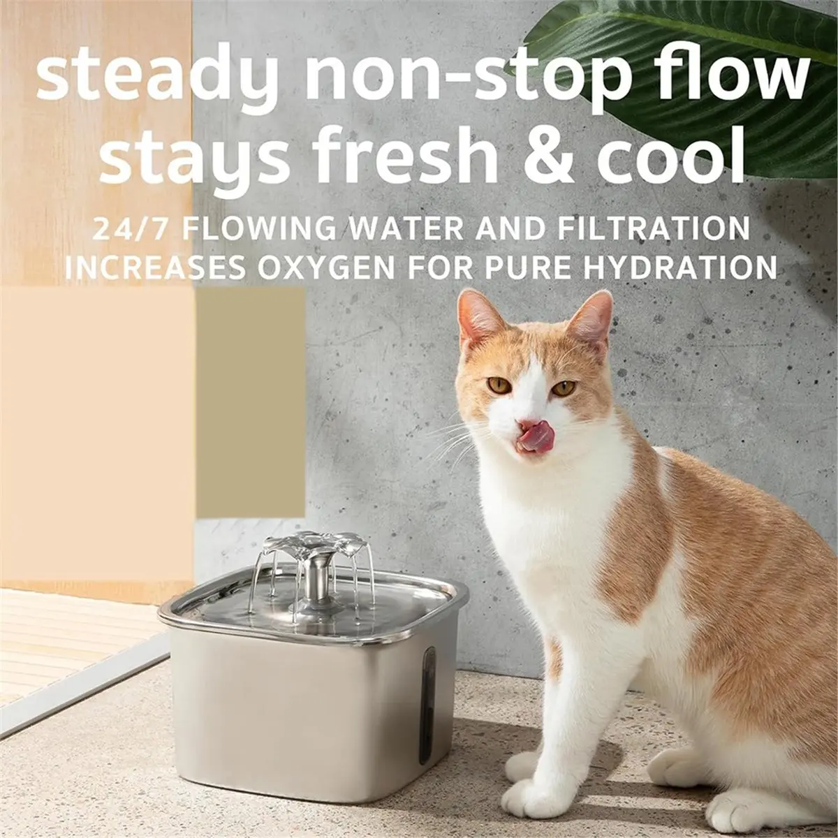 (A61K) Stainless Steel Cat Water Fountain, 2.2L Automatic Pet Fountain Dog Water Dispenser with Filters
(A61K) Stainless Steel Cat Water Fountain, 2.2L Automatic Pet Fountain Dog Water Dispenser with Filters