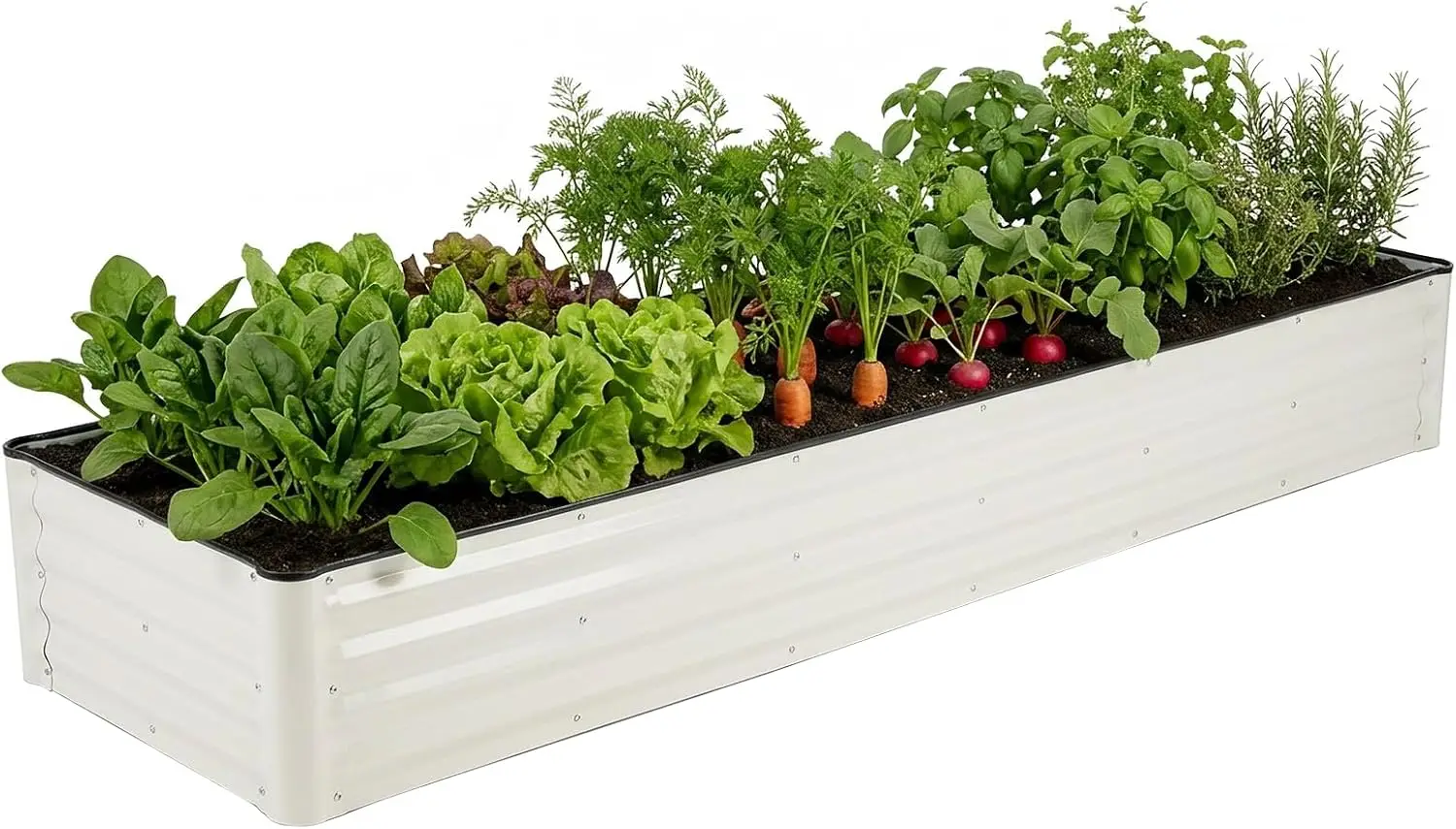 Galvanized Raised Garden Bed – 1 Pack 8x2x1 Ft Patented Leak-Proof Planter Box Outdoor Gardening Metal Raised Garden Be
Galvanized Raised Garden Bed – 1 Pack 8x2x1 Ft Patented Leak-Proof Planter Box Outdoor Gardening Metal Raised Garden Be