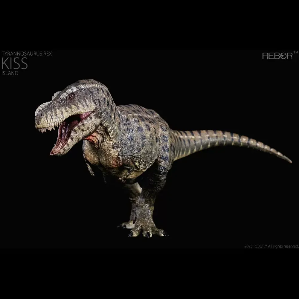 REBOR Jurassic Dinosaur 25 Year Science Emperor Tyrannosaurus Rex Island Edition Adult Model Toy in Stock
REBOR Jurassic Dinosaur 25 Year Science Emperor Tyrannosaurus Rex Island Edition Adult Model Toy in Stock