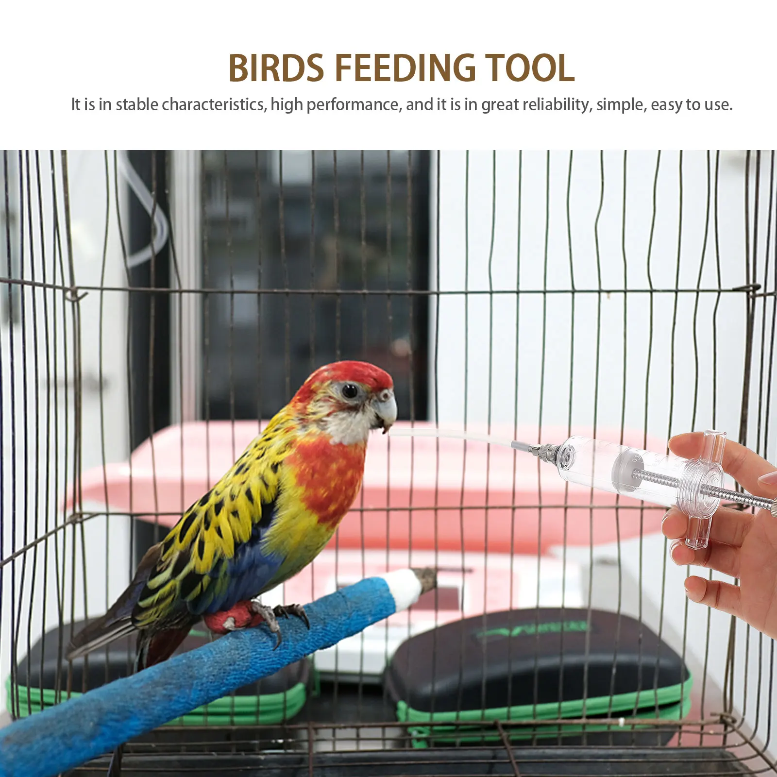 1 set Parrot Feeder Set Lightweight Portable Hummingbird Baby Bird Nursing Tool Administering Medicine Easy Use
1 set Parrot Feeder Set Lightweight Portable Hummingbird Baby Bird Nursing Tool Administering Medicine Easy Use