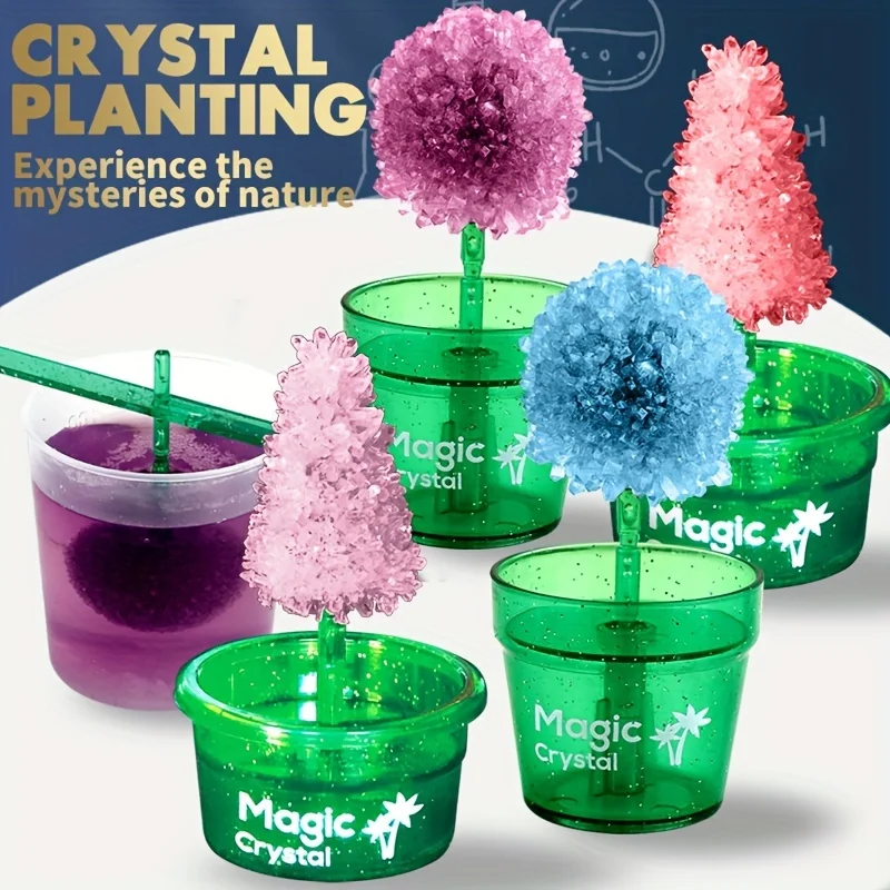 Science education experiment, crystal flower experiment, DIY growable crystal flowers, create your own crystal flowers
Science education experiment, crystal flower experiment, DIY growable crystal flowers, create your own crystal flowers