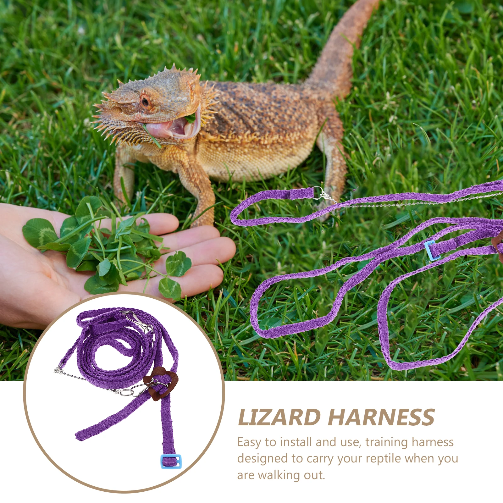 Reptile Lizard Harness Leash Pet Bearded Dragon Adjustable Animal Strap 23cm Chest 07cm Width 40cm Harness 80cm Leash
Reptile Lizard Harness Leash Pet Bearded Dragon Adjustable Animal Strap 23cm Chest 07cm Width 40cm Harness 80cm Leash
