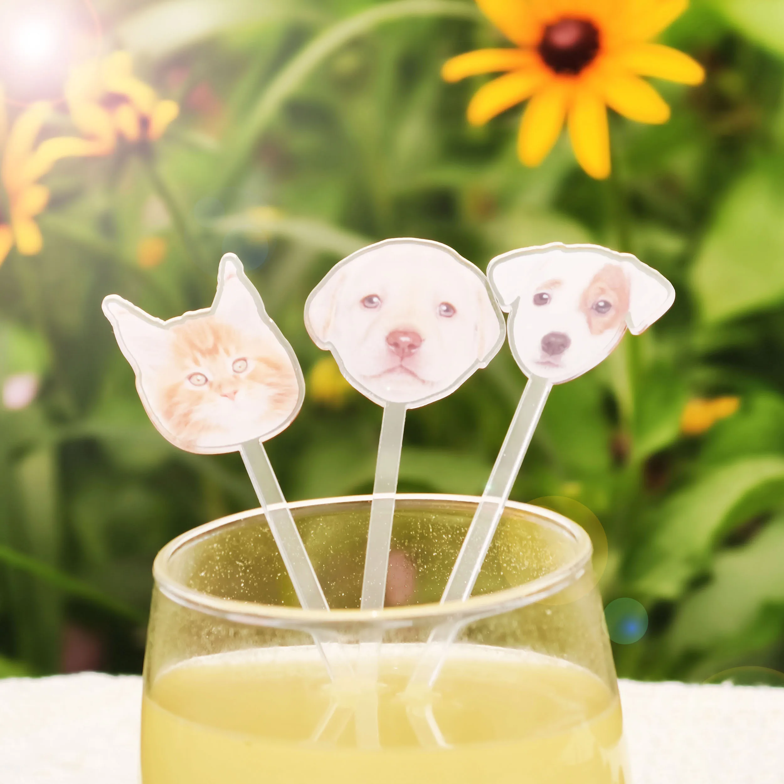 Custom Pet Drink Stir Personalized Cocktail Stirrers Wedding Gift Table Decoration Acrylic Party Drink Stirs Baptism souvenir
Custom Pet Drink Stir Personalized Cocktail Stirrers Wedding Gift Table Decoration Acrylic Party Drink Stirs Baptism souvenir