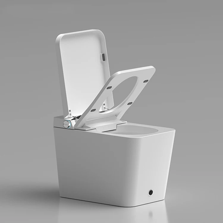 Cheap Price Smart Electric Automatic Toilet Commode With Tank
Cheap Price Smart Electric Automatic Toilet Commode With Tank