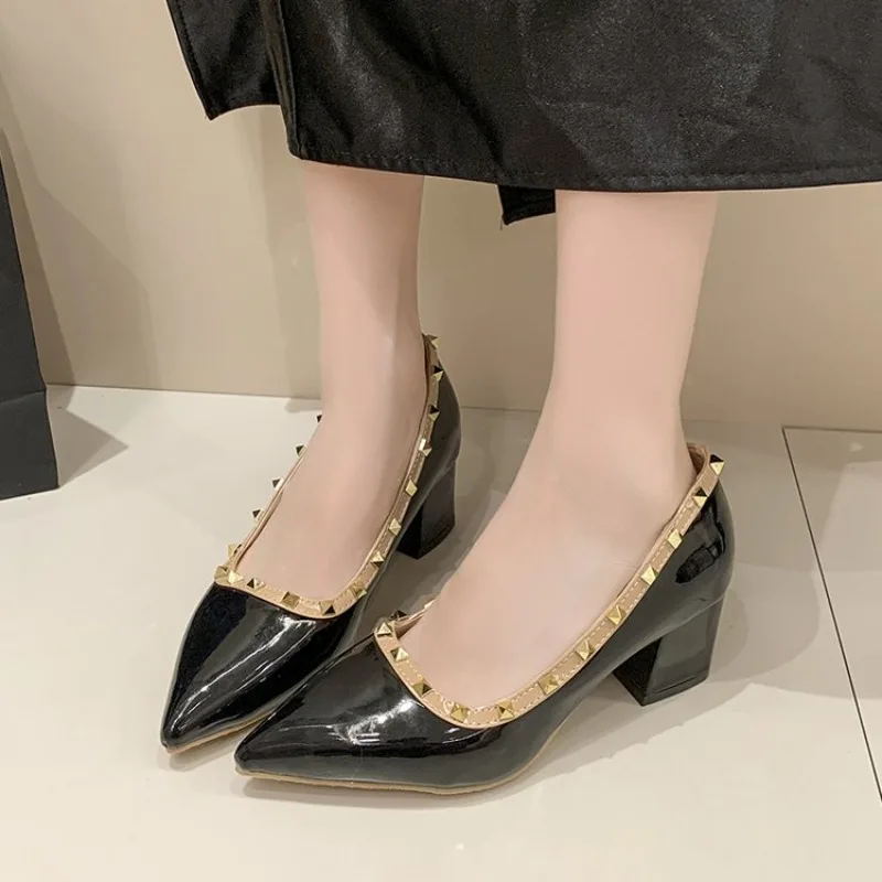 Large Size Patent Leather High Heels Women, 2026 Spring New French Pointed Thick Heels, Shallow Mouth Temperament High Heels
Large Size Patent Leather High Heels Women, 2026 Spring New French Pointed Thick Heels, Shallow Mouth Temperament High Heels