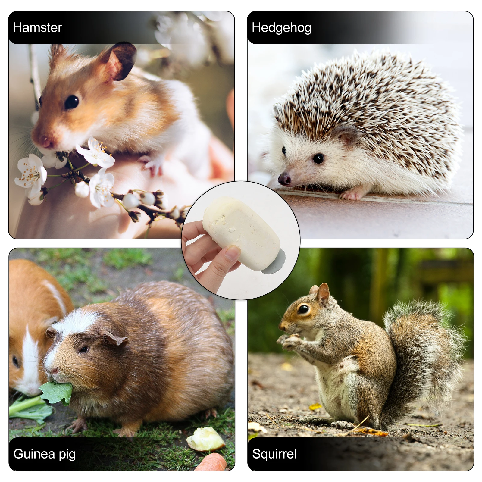1pc Hamster Grinding Bird Teeth Stone Pet Platform Long Rectangle Hamster Grinding Stone Moth Supplies
1pc Hamster Grinding Bird Teeth Stone Pet Platform Long Rectangle Hamster Grinding Stone Moth Supplies