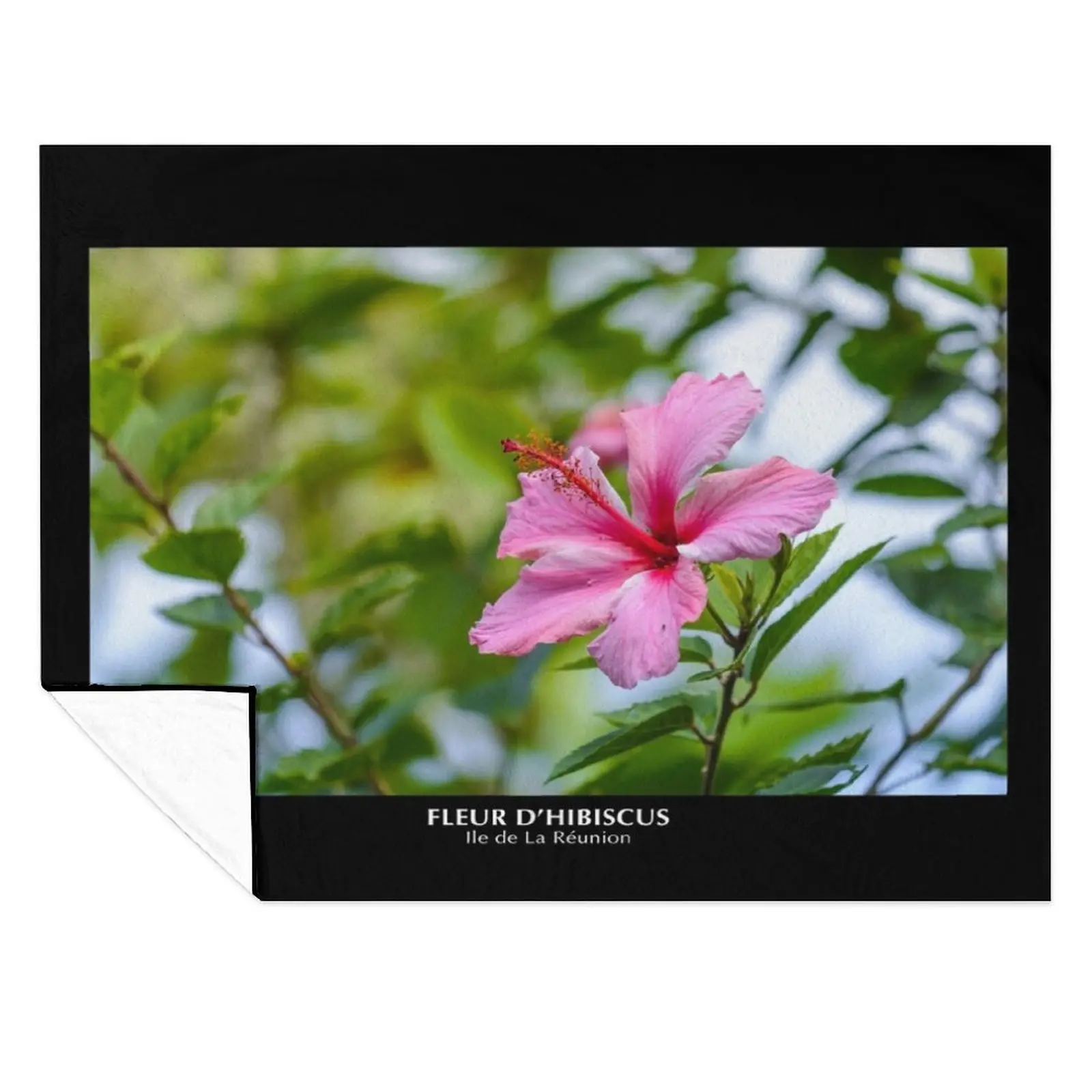 Hibiscus flower in Reunion Island Throw Blanket Furry Flannel Fabric Cute Plaid Blankets
Hibiscus flower in Reunion Island Throw Blanket Furry Flannel Fabric Cute Plaid Blankets