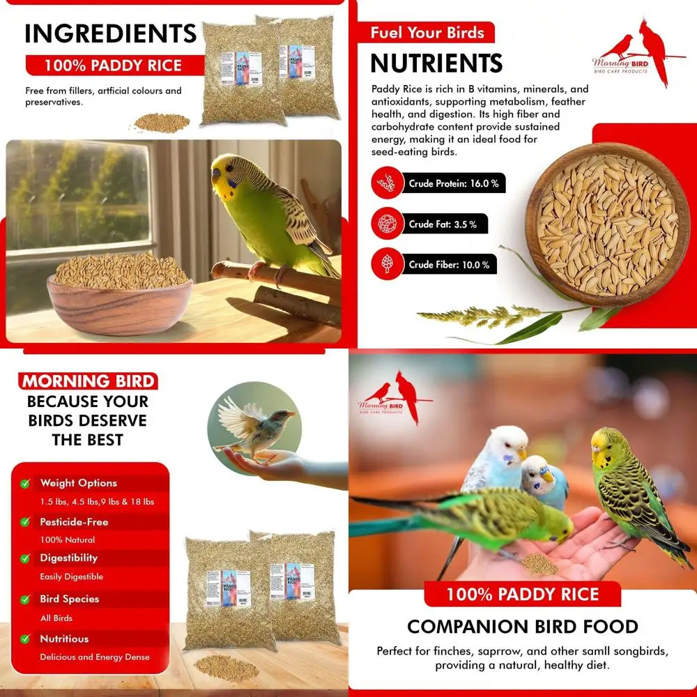 Paddy Rice Bird Seed for Optimal Health & Nutritious Pet Bird Food – Supports Feathers & Immunity – Ideal for All Seed Eating Bi
Paddy Rice Bird Seed for Optimal Health & Nutritious Pet Bird Food – Supports Feathers & Immunity – Ideal for All Seed Eating Bi