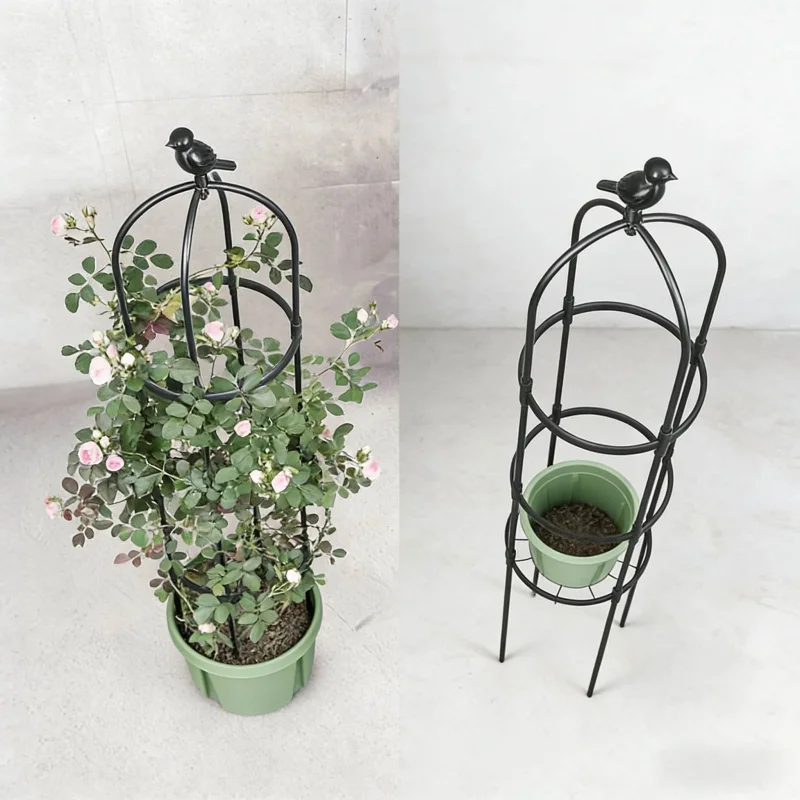 Rust-Resistant Plastic Coated Climbing Trellis 70.8 Inch Gardening Tool for Indoor And Outdoor Potted Plant Support
Rust-Resistant Plastic Coated Climbing Trellis 70.8 Inch Gardening Tool for Indoor And Outdoor Potted Plant Support