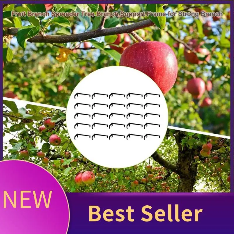 25 Pieces Tree Branch Spreader, Tree Branch Support Frame For Strong Branch On Apples And Other Fruit Trees Durable Easy To Use
25 Pieces Tree Branch Spreader, Tree Branch Support Frame For Strong Branch On Apples And Other Fruit Trees Durable Easy To Use