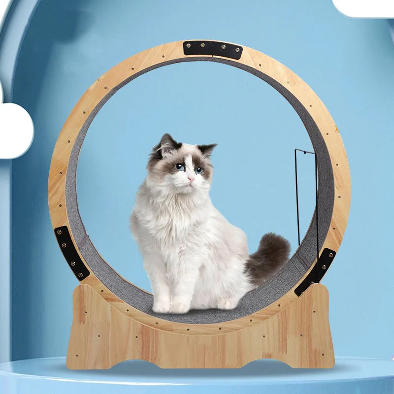 Cat Gym Treadmill Training Supplies Behavior Aids Pet Products Climbing Game Stand Cat Toy Novelty Moving Scratching Platform
Cat Gym Treadmill Training Supplies Behavior Aids Pet Products Climbing Game Stand Cat Toy Novelty Moving Scratching Platform