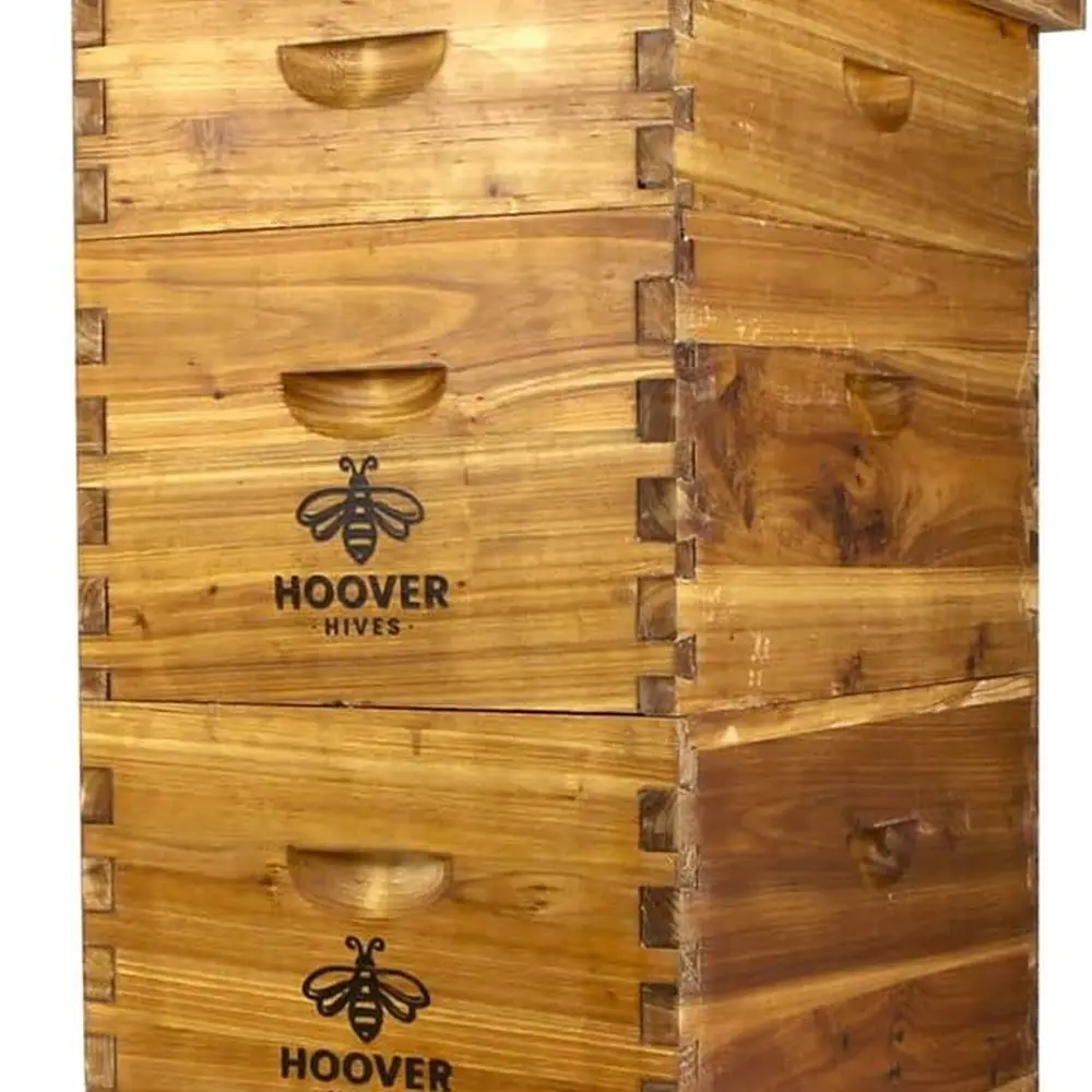 8-Frame Beeswax-Coated Langstroth Hive with Wooden Frames and Waxed Foundations (2 Deep, 1 Medium Box) - Fully Assembled
8-Frame Beeswax-Coated Langstroth Hive with Wooden Frames and Waxed Foundations (2 Deep, 1 Medium Box) - Fully Assembled