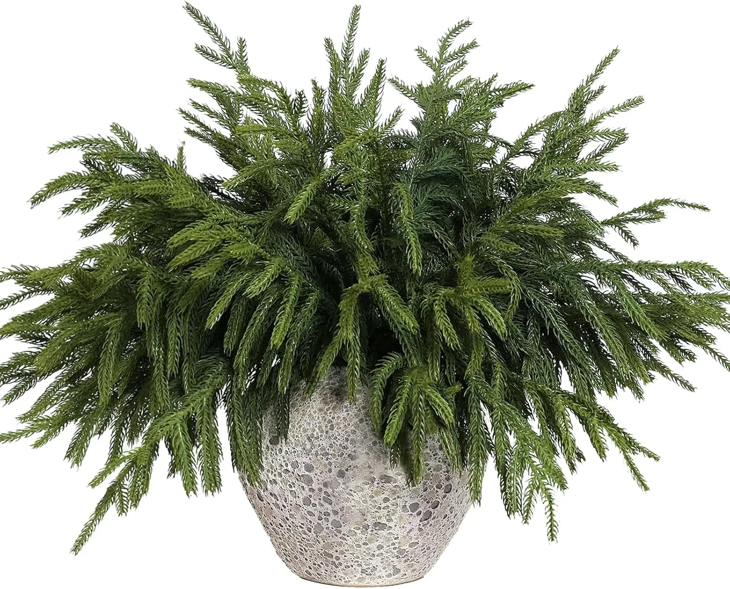 16-Pack 18" Real Touch Norfolk Pine Branches, Artificial Greenery Stems for DIY Wreaths, Garland & Vase Decor
16-Pack 18" Real Touch Norfolk Pine Branches, Artificial Greenery Stems for DIY Wreaths, Garland & Vase Decor