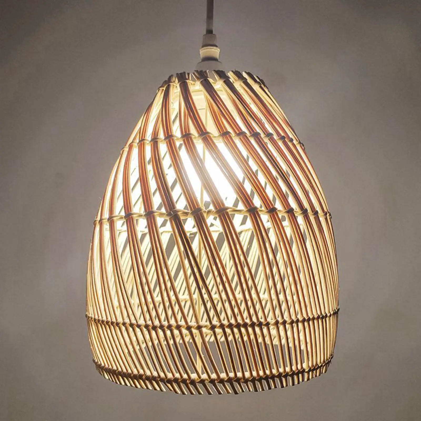 Lamp Shade 1x Hanging Decoration Light Fixture Ceiling Pendant Light Shade for
Lamp Shade 1x Hanging Decoration Light Fixture Ceiling Pendant Light Shade for