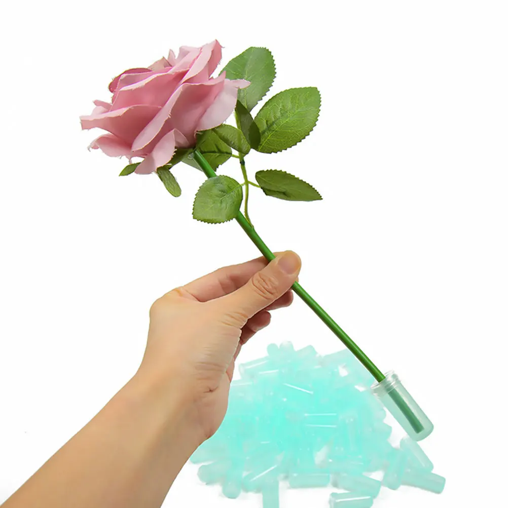 Flower Preservation Tube Florist Floral Supplies Growing Water Container Nutrition
Flower Preservation Tube Florist Floral Supplies Growing Water Container Nutrition