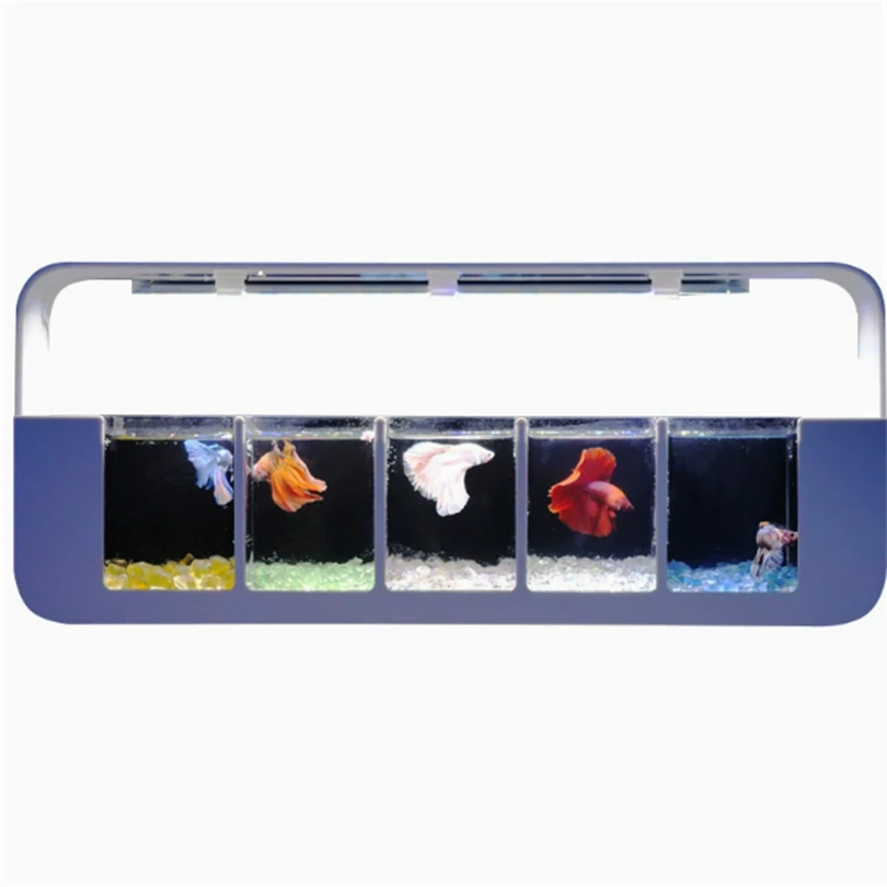 Комбинированный рядный аквариум Betta, многофункциональный лунный свет, встроенный настольный компьютер, креативный домашний ленивый экологический аквариум
Комбинированный рядный аквариум Betta, многофункциональный лунный свет, встроенный настольный компьютер, креативный домашний ленивый экологический аквариум