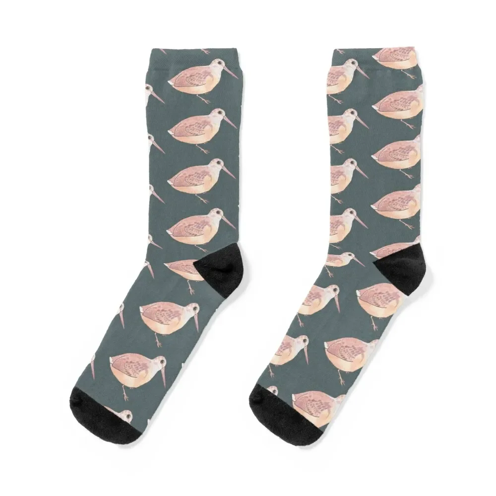 American Woodcock bird species watercolor art Socks funny sock football Designer Man Socks Women's
American Woodcock bird species watercolor art Socks funny sock football Designer Man Socks Women's