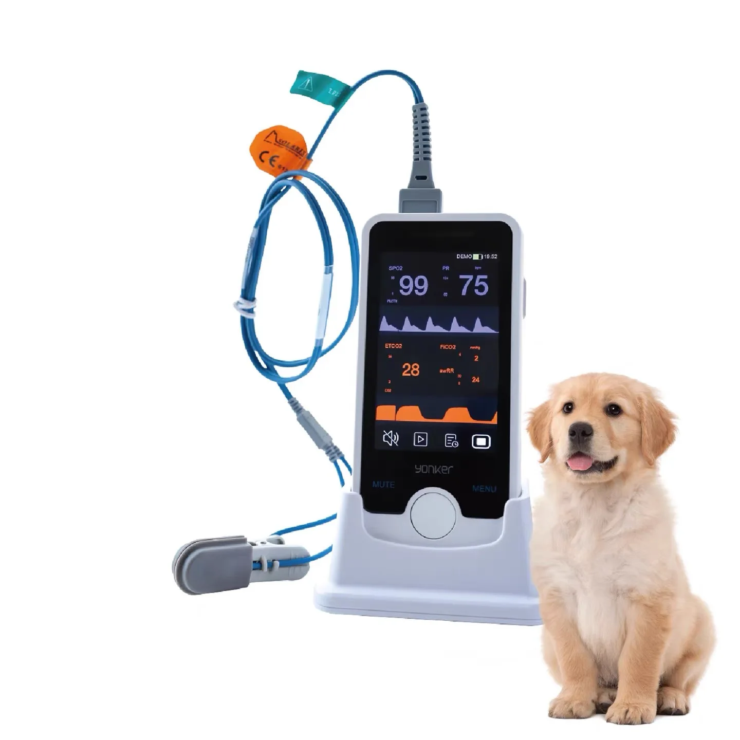 High definition 4 inch TFT veterinary for dog/cat real-time data storage SpO2
