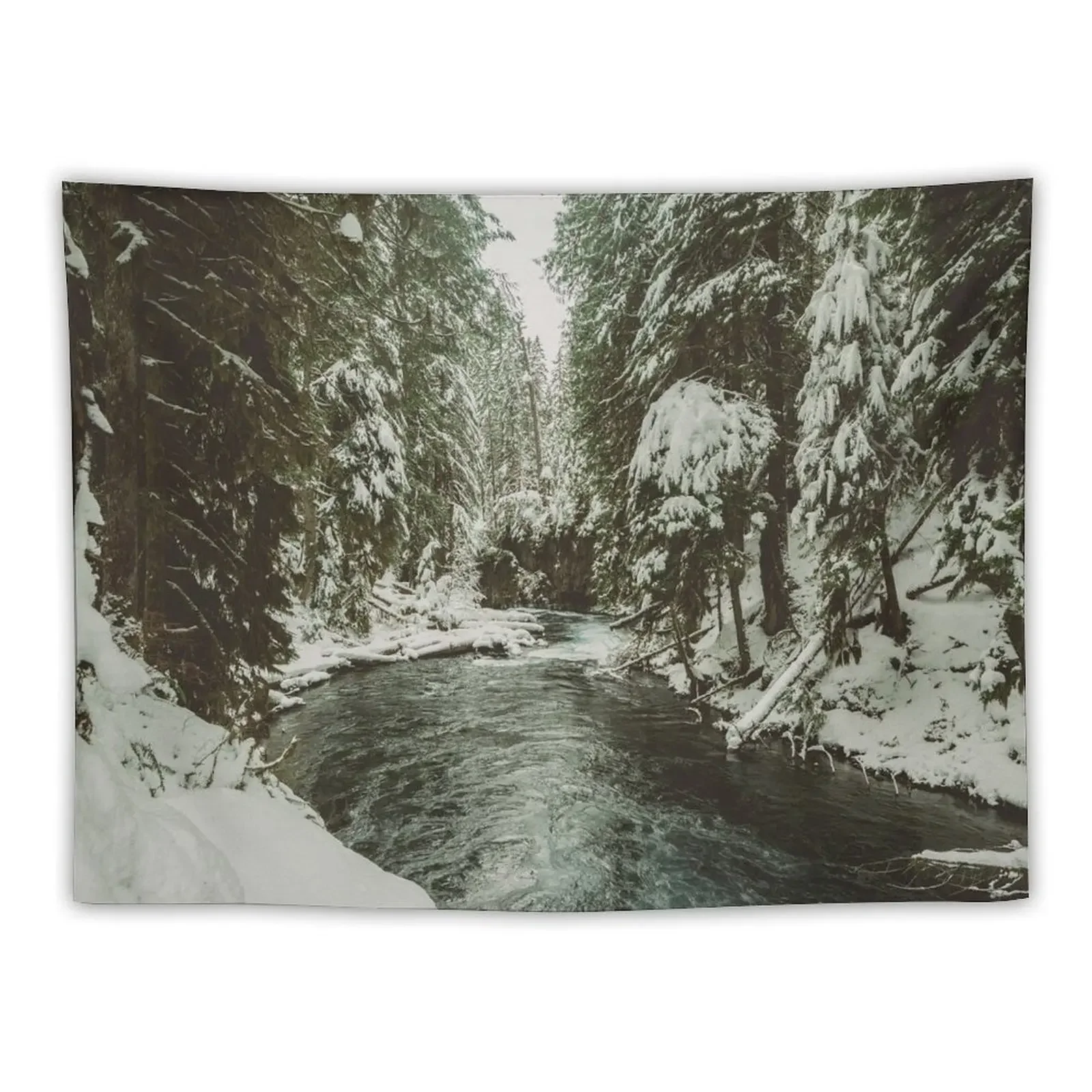 Pacific Northwest Winter Forest River - Mountain Woods Photography Tapestry Wall Hanging Aesthetic Room Decors Tapestry
Pacific Northwest Winter Forest River - Mountain Woods Photography Tapestry Wall Hanging Aesthetic Room Decors Tapestry