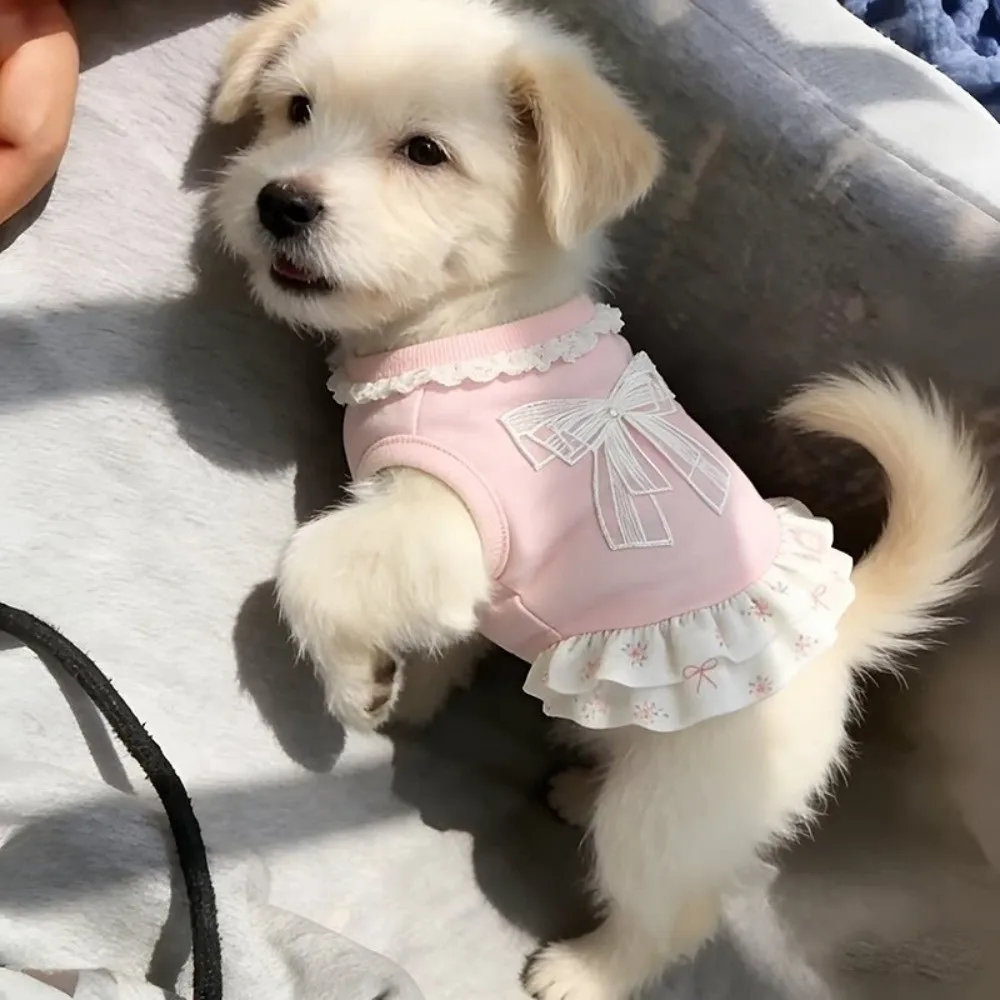 Thin Pet Princess Dress Lotus Leaf Edge Breathable Dog Cooling Vest Comfortable Floral Pattern Bow Dog Skirt Outdoor Walk
Thin Pet Princess Dress Lotus Leaf Edge Breathable Dog Cooling Vest Comfortable Floral Pattern Bow Dog Skirt Outdoor Walk