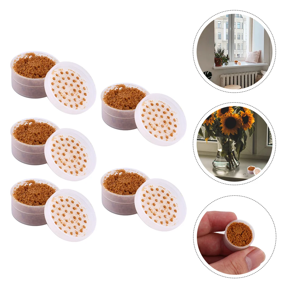 1 Set of 5 Boxes Lure Agent Trap Lamp Parts Helper Effective Removal Tool for Home Dorm Office ( Color Size L)
1 Set of 5 Boxes Lure Agent Trap Lamp Parts Helper Effective Removal Tool for Home Dorm Office ( Color Size L)