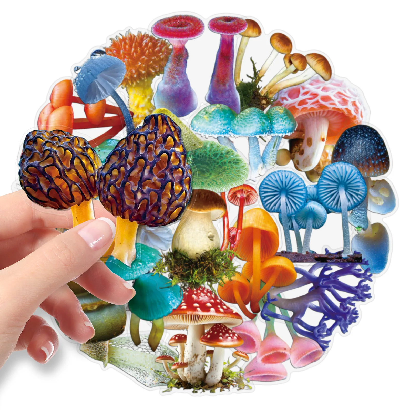 50PCS Mushroom PET Transparent Stickers Realistic Creative Decoration Mobile Phone Case Notebook Water Cup Skateboard Toys Gifts
50PCS Mushroom PET Transparent Stickers Realistic Creative Decoration Mobile Phone Case Notebook Water Cup Skateboard Toys Gifts