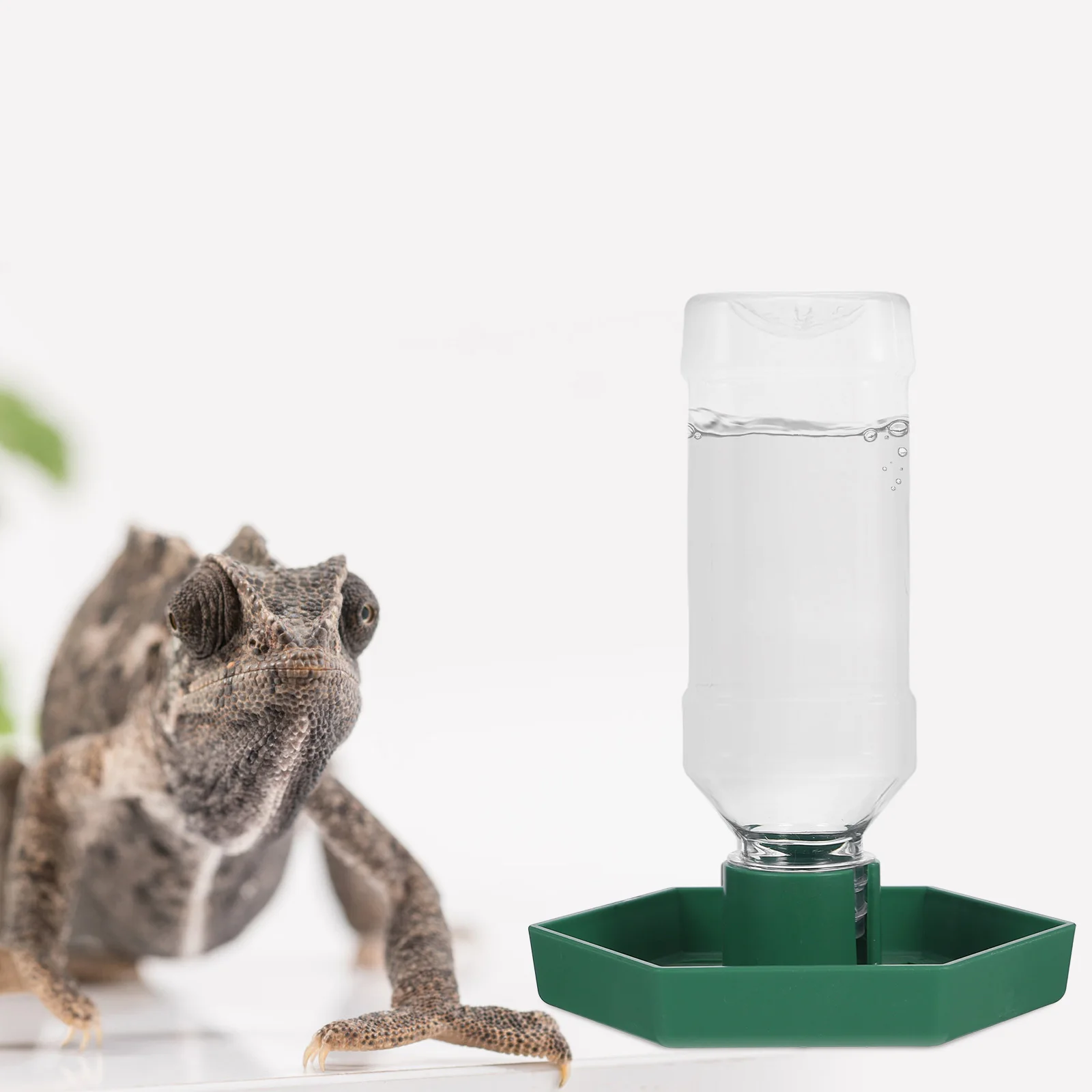 Automatic Water Feeder Reptile Daily Compact Dispenser Standing Dish Turtle Small Geckos Lizards Pet Supplies Durable Plastic
Automatic Water Feeder Reptile Daily Compact Dispenser Standing Dish Turtle Small Geckos Lizards Pet Supplies Durable Plastic