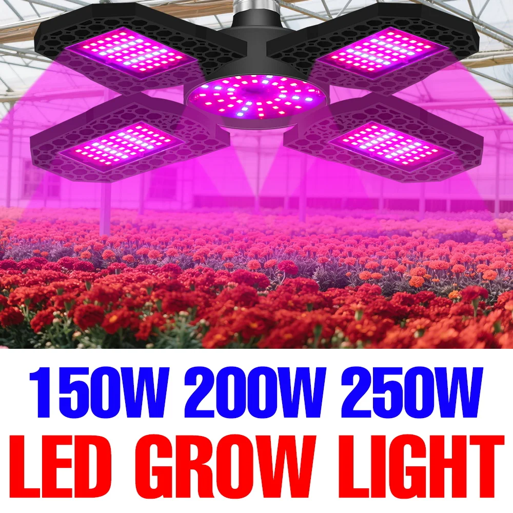 250 Вт светодиодный светильник E27 для выращивания растений, полный спектр, комнатная тепличная палатка, сочный кактус, гидропоника, лампа для выращивания растений, деформируемая
250 Вт светодиодный светильник E27 для выращивания растений, полный спектр, комнатная тепличная палатка, сочный кактус, гидропоника, лампа для выращивания растений, деформируемая