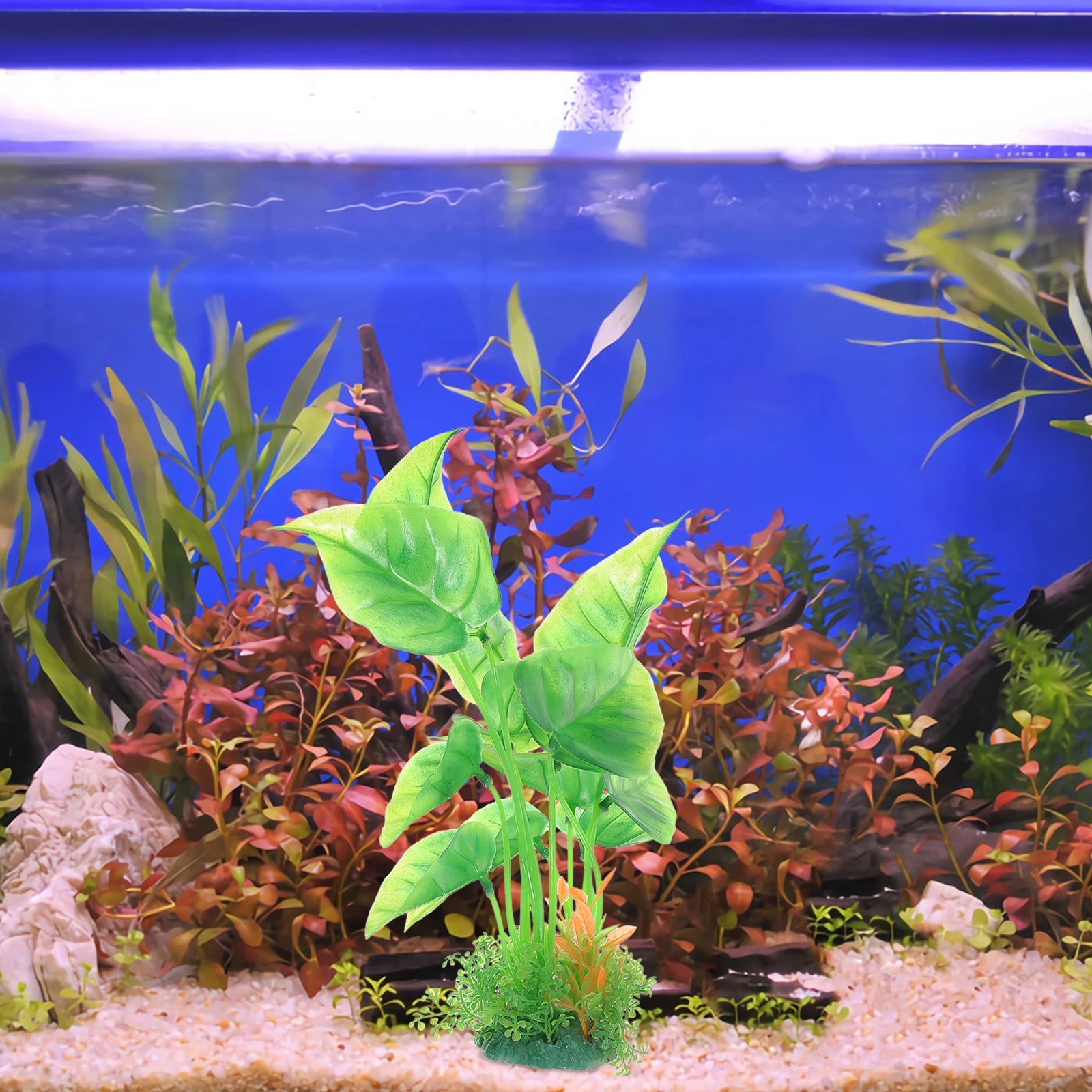2pcs Lifelike Aquarium Plants Artificial Decorations Water Plants For Tank Accessories Easy Clean No Trimming Stable Base
2pcs Lifelike Aquarium Plants Artificial Decorations Water Plants For Tank Accessories Easy Clean No Trimming Stable Base