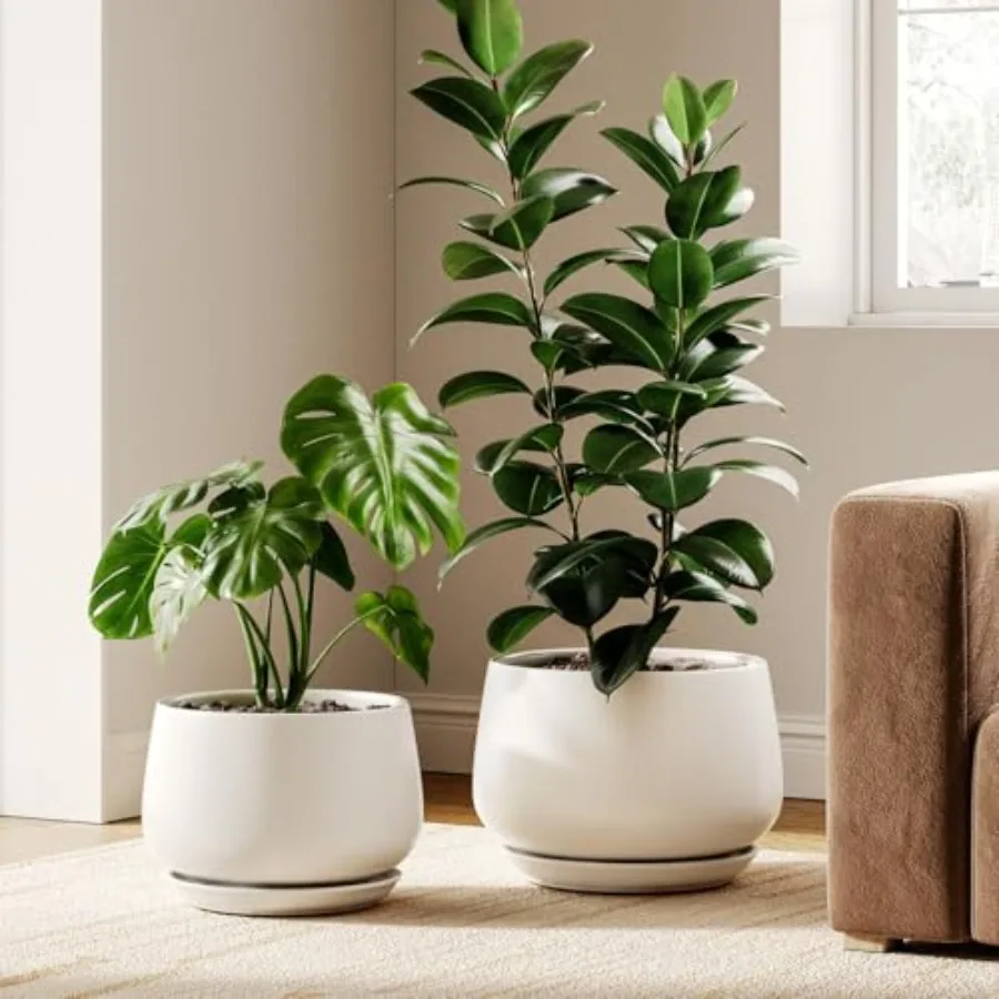 Ceramic Plant Pots Set of 2 10 + 12 Inch Indoor Plants Application White Ceramic Elegant Design with Drainage Hole and Saucers
Ceramic Plant Pots Set of 2 10 + 12 Inch Indoor Plants Application White Ceramic Elegant Design with Drainage Hole and Saucers