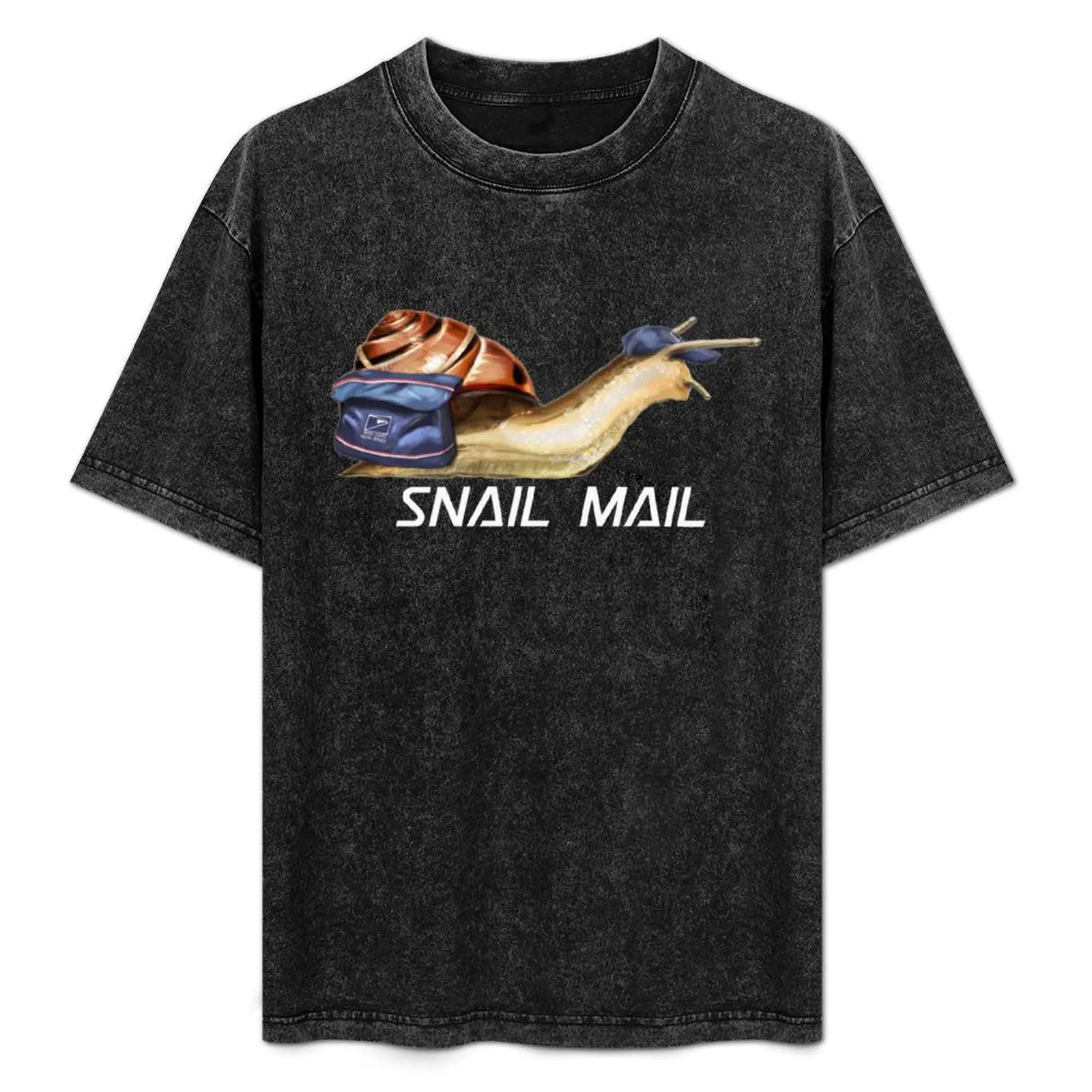 Snail Mail T-Shirt Big and Tall Solid Color T-Shirt
Snail Mail T-Shirt Big and Tall Solid Color T-Shirt