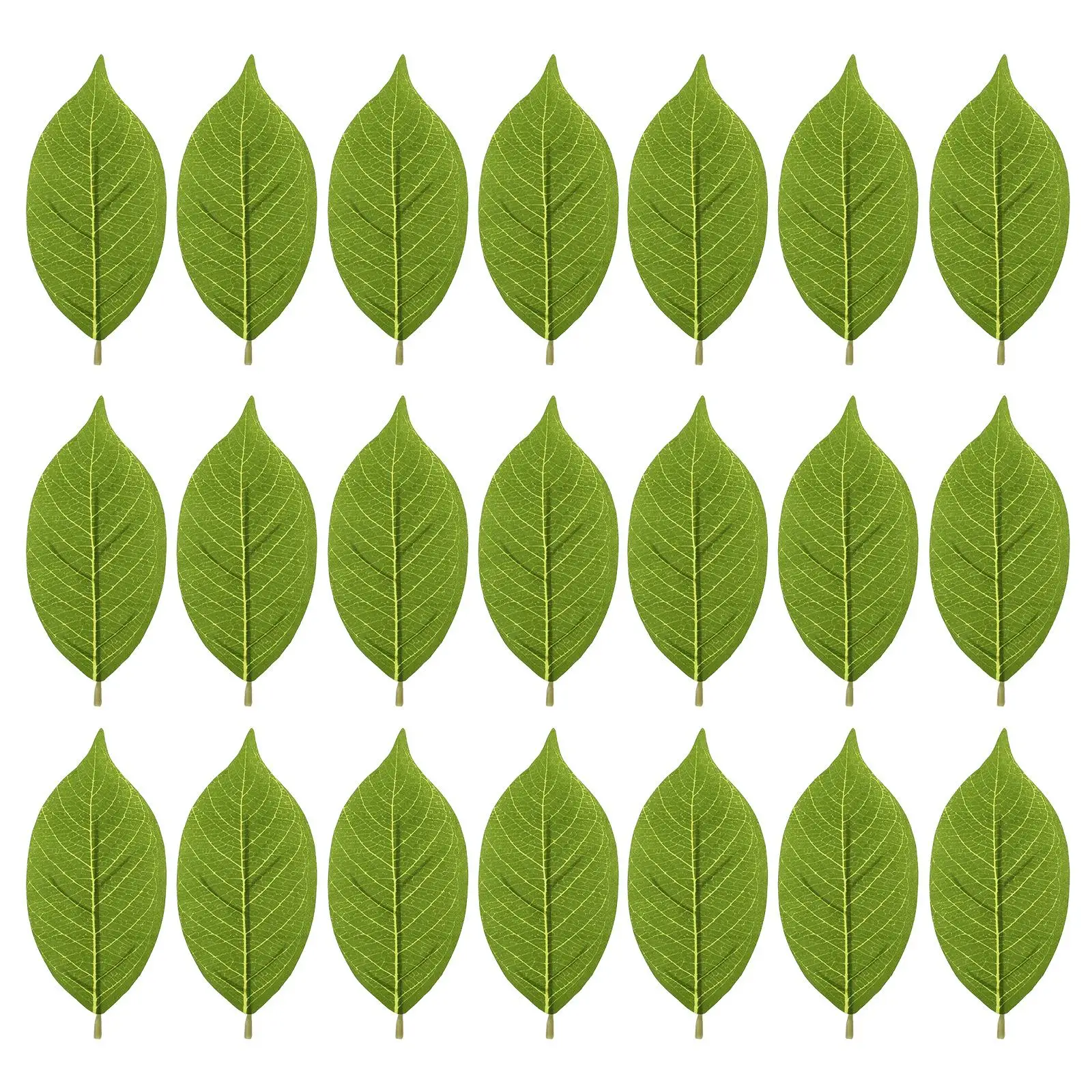 50 Pcs Magnolia Leaf 15 5x6 7cm PU Material Faux Greenery Decor Fake Fake Magnolia Leaves Plant Indoor Photo Prop
50 Pcs Magnolia Leaf 15 5x6 7cm PU Material Faux Greenery Decor Fake Fake Magnolia Leaves Plant Indoor Photo Prop