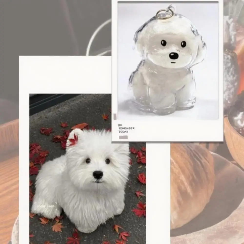 Dog Hair Storage Box Transparent DIY Handmade Pet Hair Keychain Keyring Hair Grooming Puppy Pendants Dog Hair Souvenir Display
Dog Hair Storage Box Transparent DIY Handmade Pet Hair Keychain Keyring Hair Grooming Puppy Pendants Dog Hair Souvenir Display