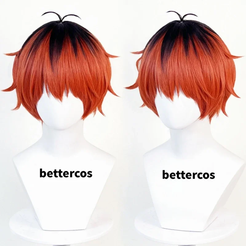 Stark Cosplay Wig Anime Frieren At The Funeral Brown Red Black Short Heat Resistant Synthetic Hair Party Wigs Wig Cap
Stark Cosplay Wig Anime Frieren At The Funeral Brown Red Black Short Heat Resistant Synthetic Hair Party Wigs Wig Cap